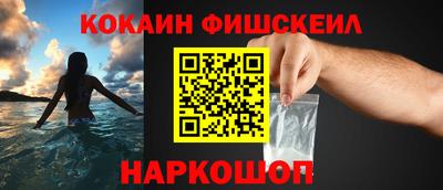 крисы Будённовск