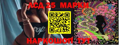 крисы Будённовск