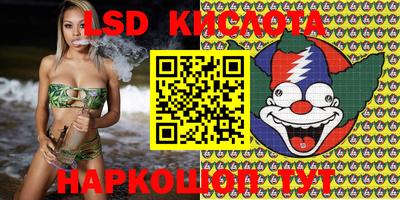 крисы Будённовск