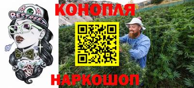 крисы Будённовск