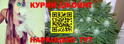 крисы Будённовск