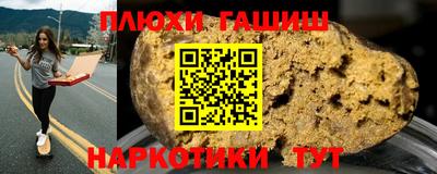 крисы Будённовск
