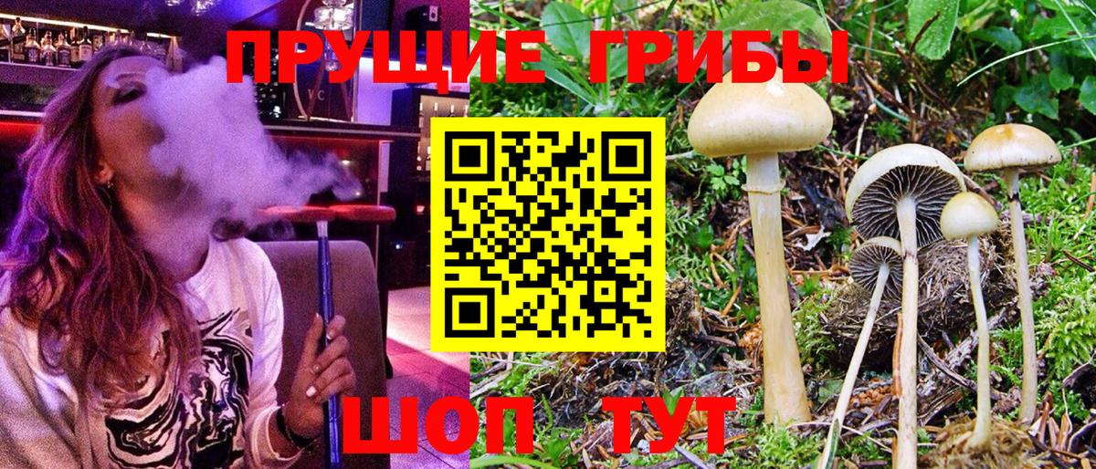 Галлюциногенные грибы Magic Shrooms Сосновый Бор